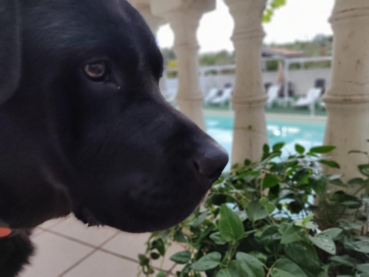 Agriturismo Al Passaggio Di Pirro Villa Miglionico Dış mekan fotoğraf